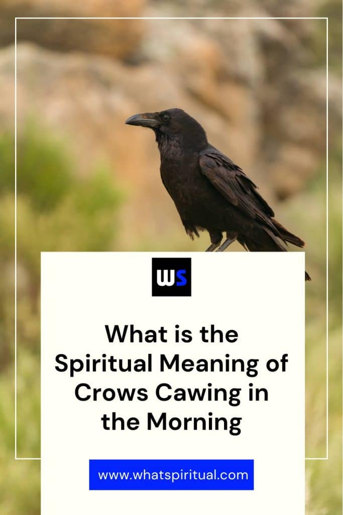 what-is-the-spiritual-meaning-of-crows-cawing-in-the-morning