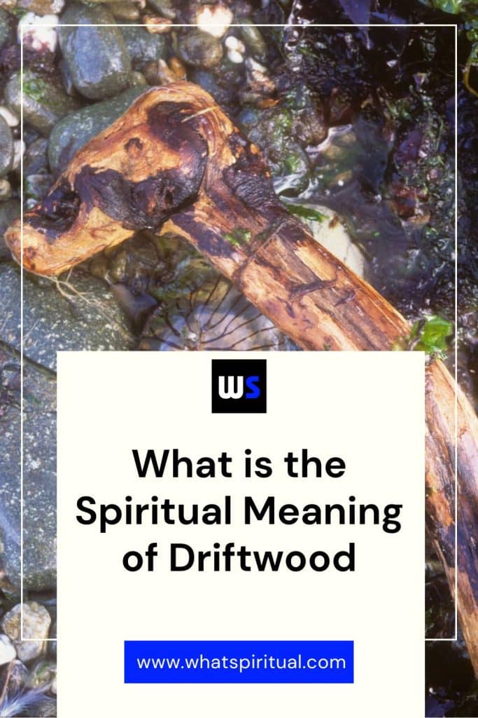 what-is-the-spiritual-meaning-of-driftwood