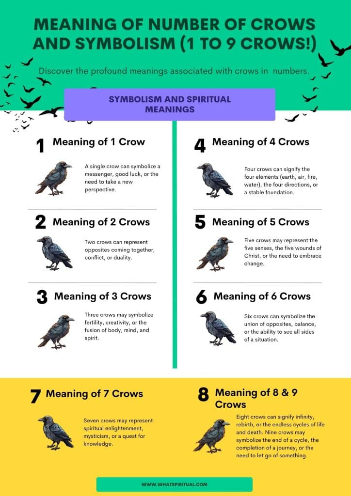 Hidden Meanings of Crows in Number (1 to 9) & Symbolism What Spiritual