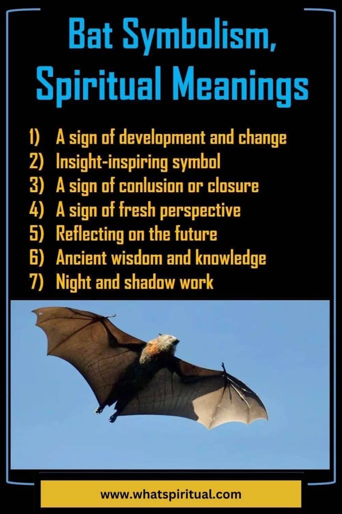 what-is-the-spiritual-meaning-of-bat
