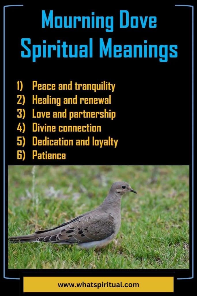 what-is-the-spiritual-meaning-of-mourning-dove
