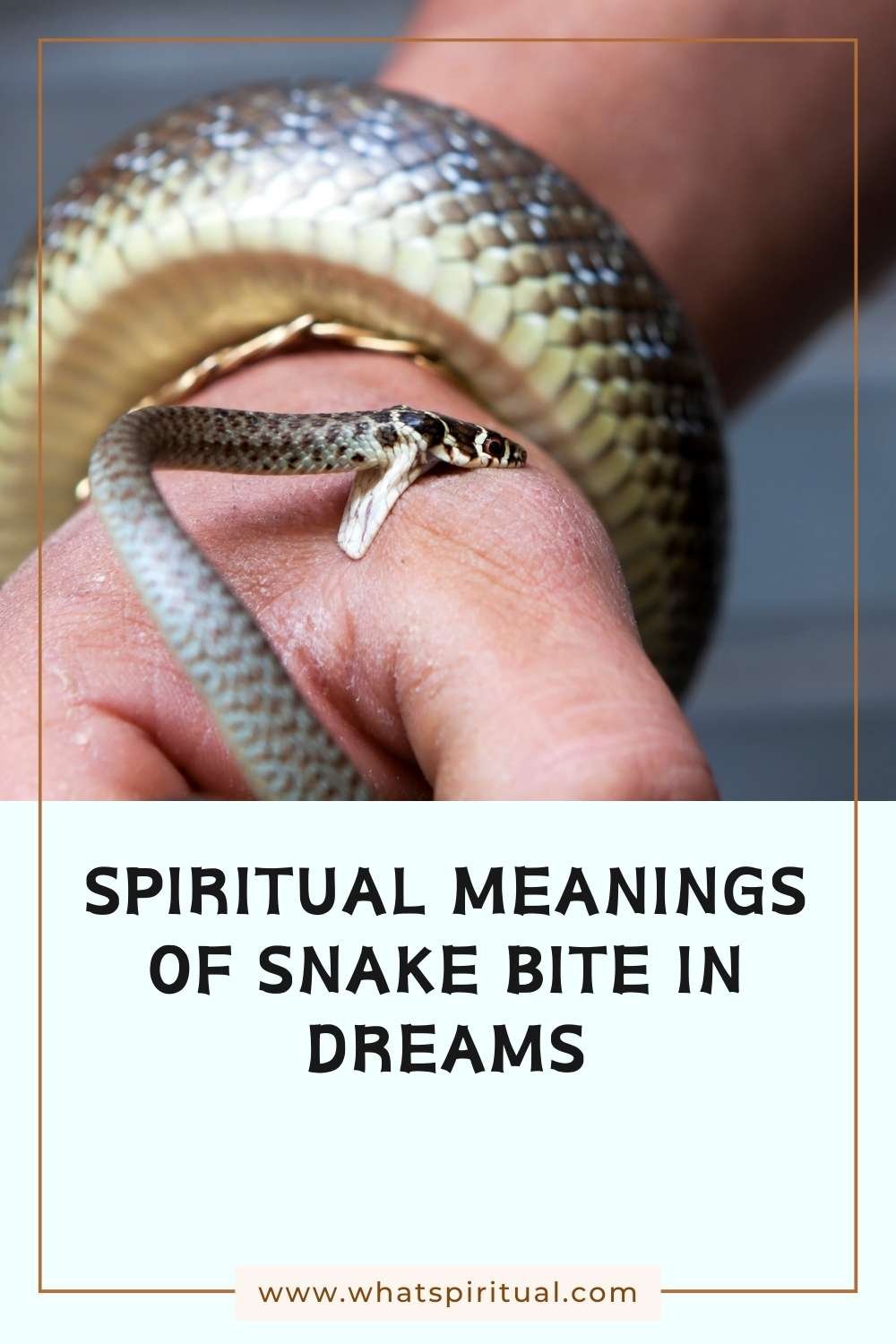 12 Spiritual Meanings Of Snake Bite In Dream Good Or Bad? What Spiritual