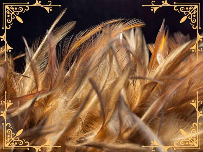 biblical-spiritual-meaning-of-brown-and-white-feather