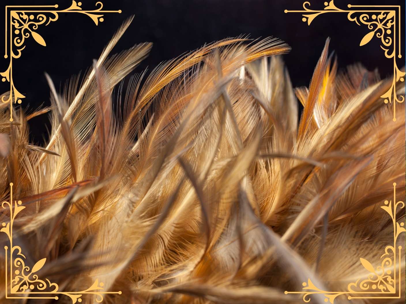 biblical-spiritual-meaning-of-brown-and-white-feather