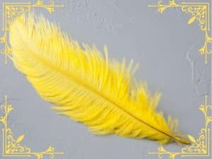 biblical-spiritual-meaning-of-finding-yellow-feathers