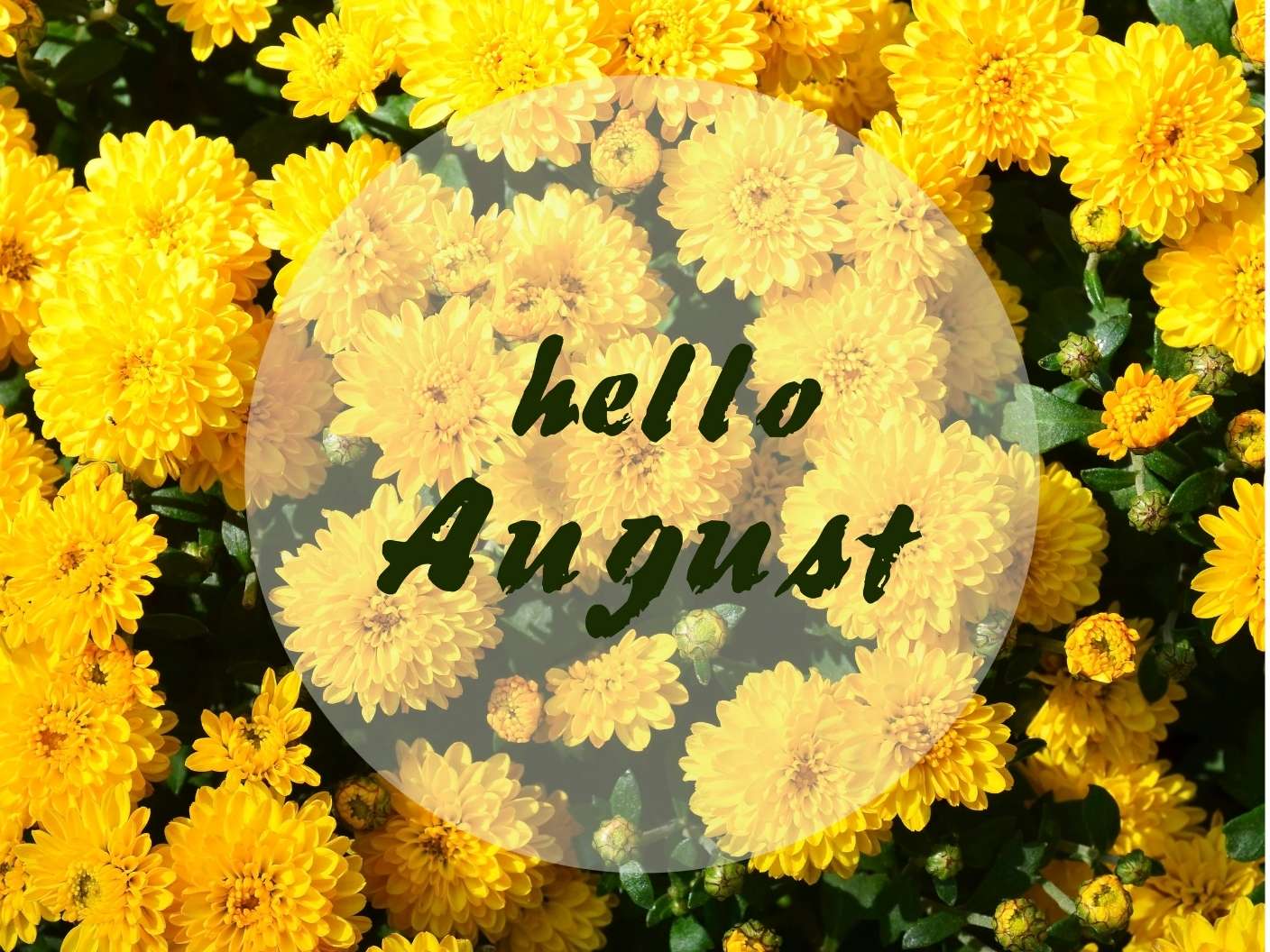 spiritual-meaning-of-august