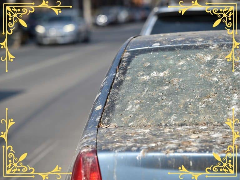 spiritual-meaning-of-bird-poop-on-car-lucky