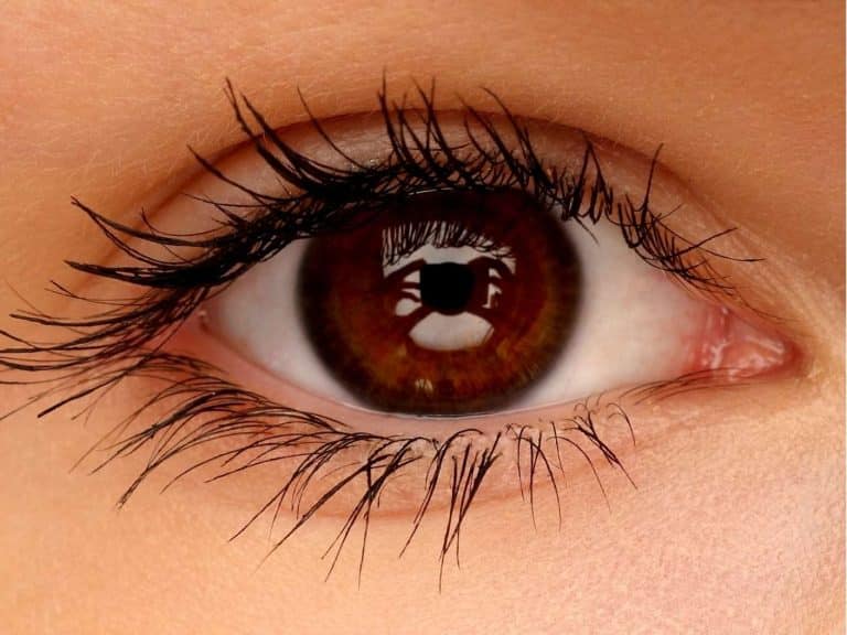 spiritual-meaning-of-brown-eyes-facts-personality-traits