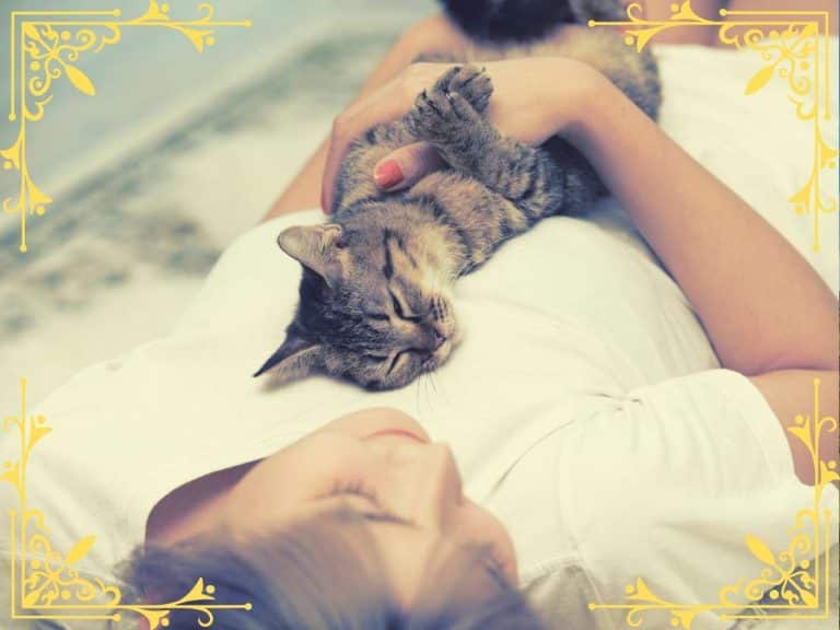 spiritual-meaning-of-cat-sleeping-on-my-chest