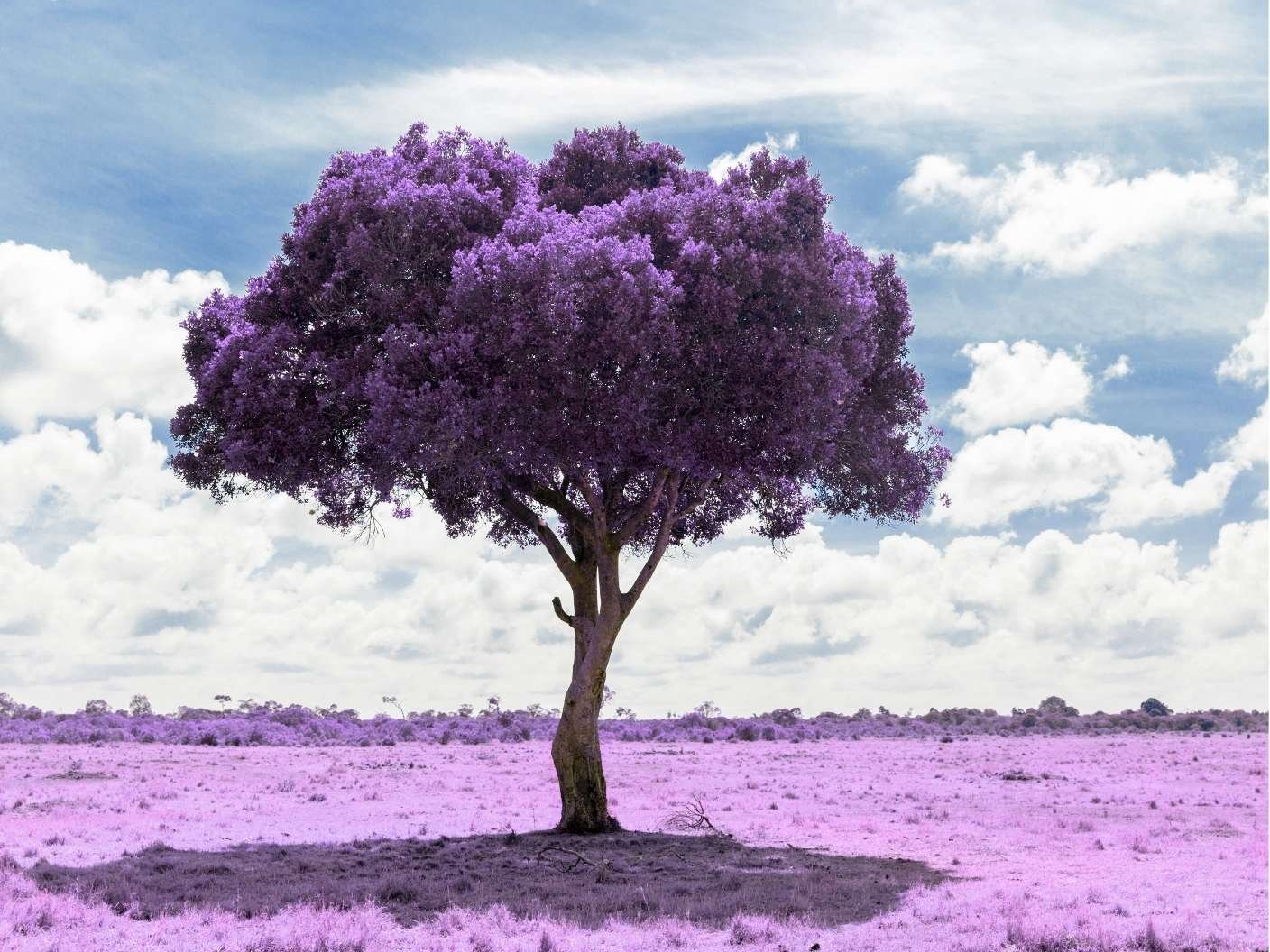 spiritual-meaning-of-color-purple-shades-psychology