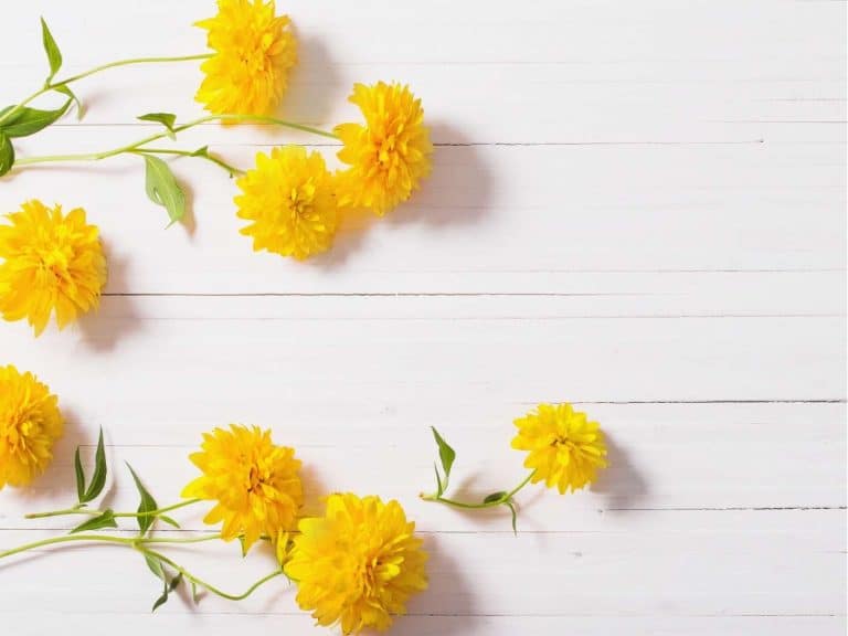 spiritual-meaning-of-color-yellow-symbolism