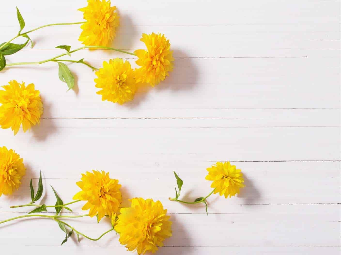spiritual-meaning-of-color-yellow-symbolism