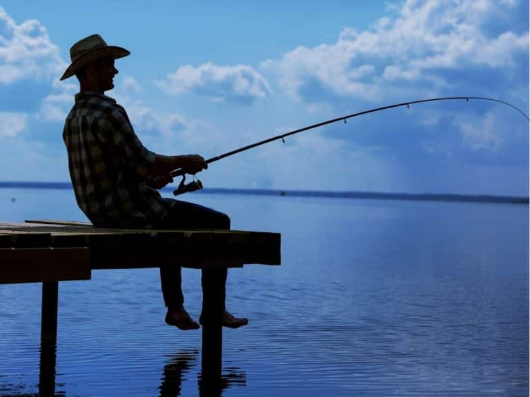9 Spiritual Meanings of a Dream About Fishing (Catching Fish)