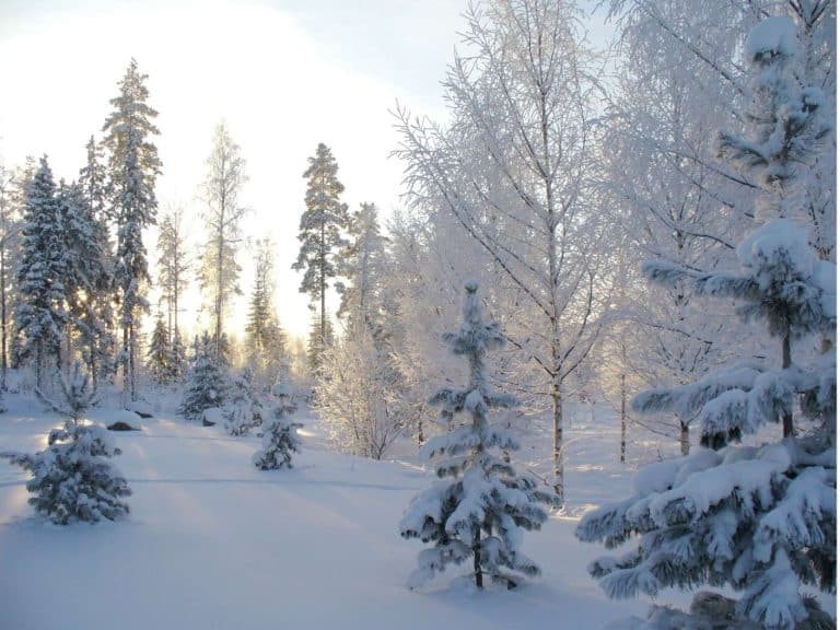 7 Spiritual Meanings of Winter Season and Symbolism