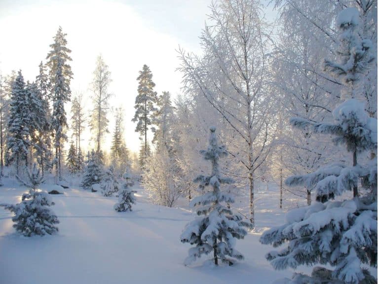 spiritual-meaning-of-winter-season