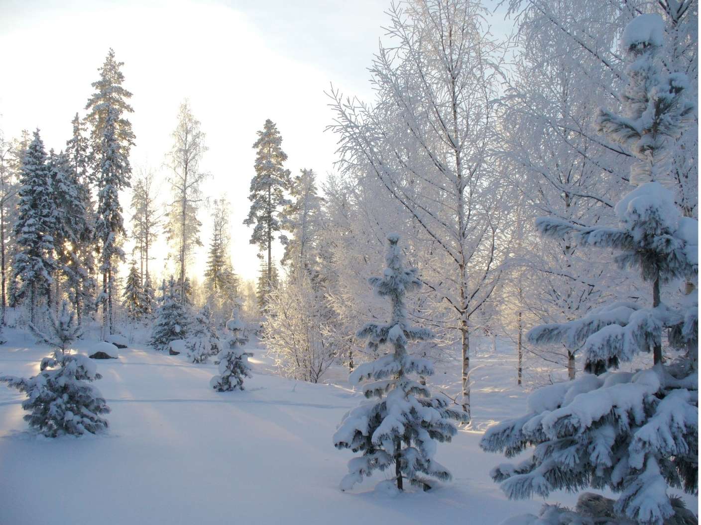 spiritual-meaning-of-winter-season