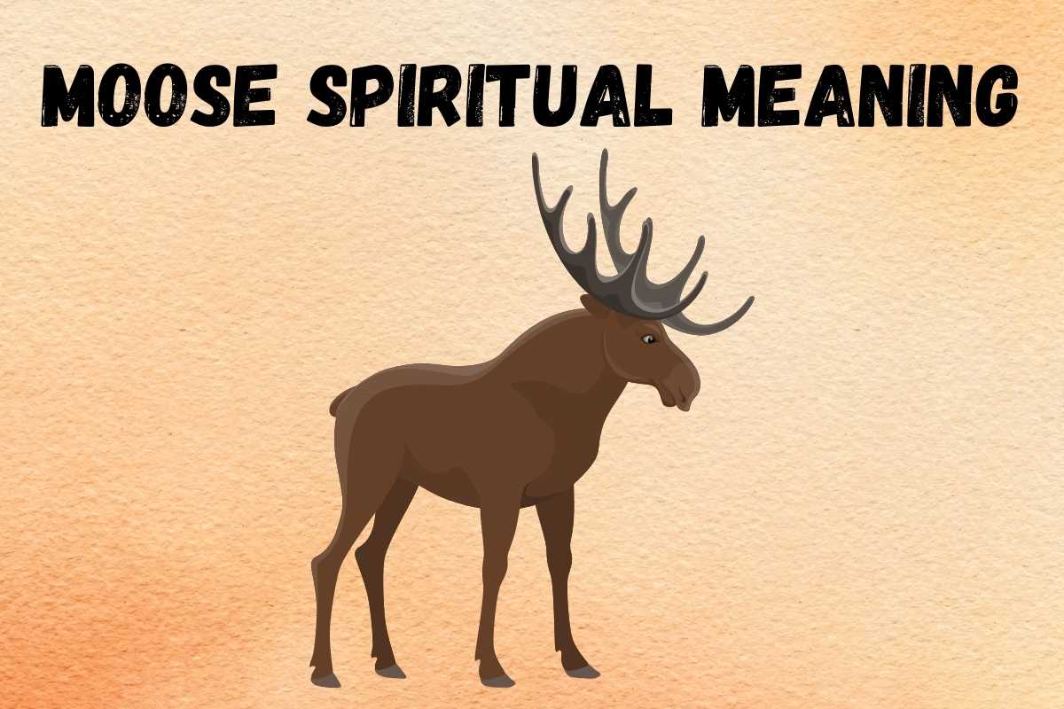 moose-spiritual-meaning-symbolism-totem
