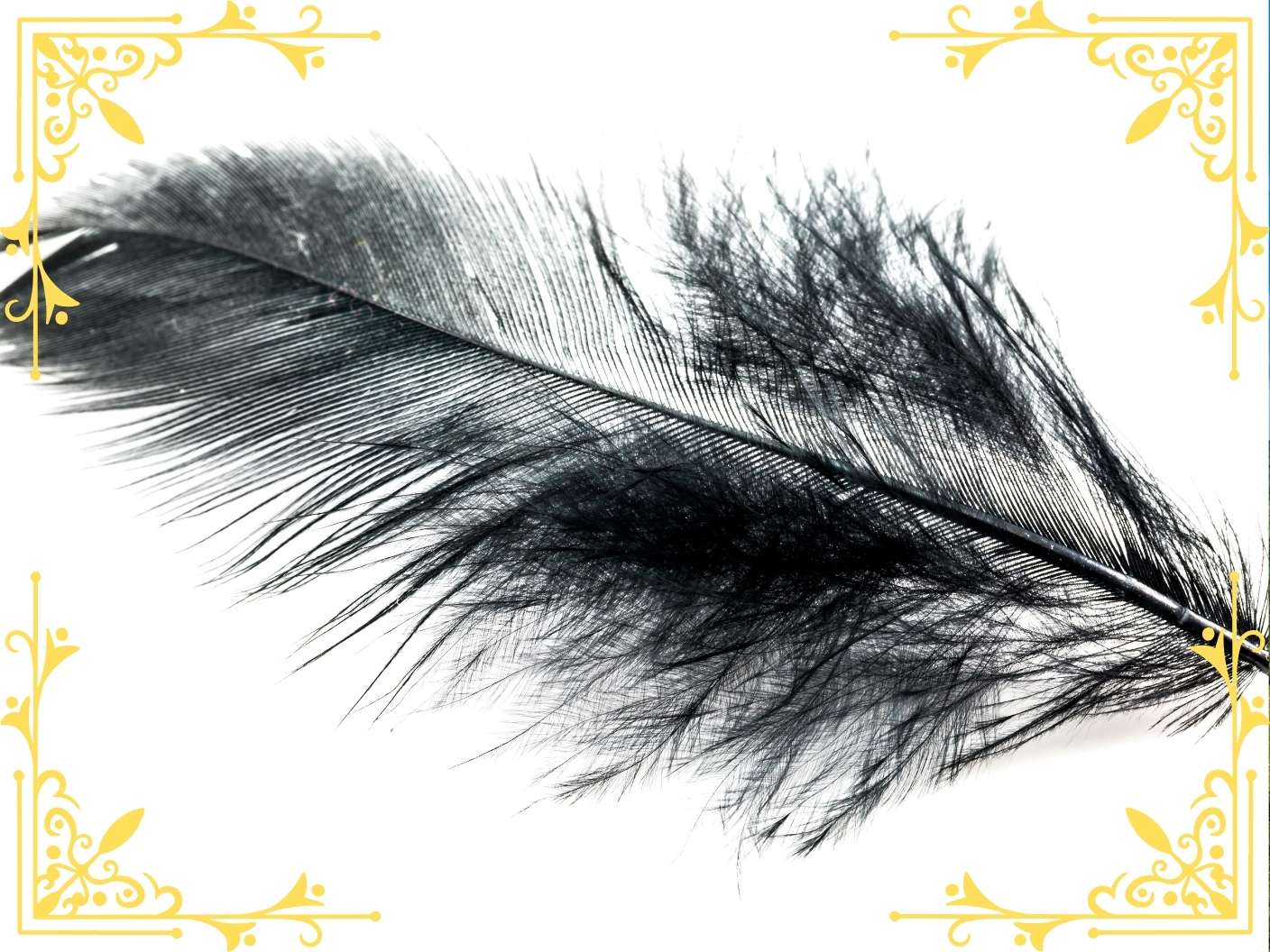spiritual-meaning-of-finding-black-feather