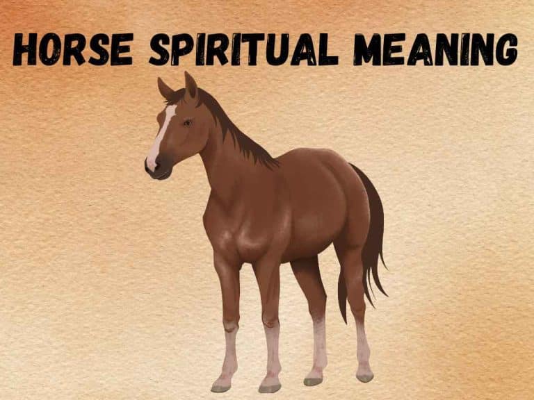 spiritual-meaning-of-horse-and-symbolism