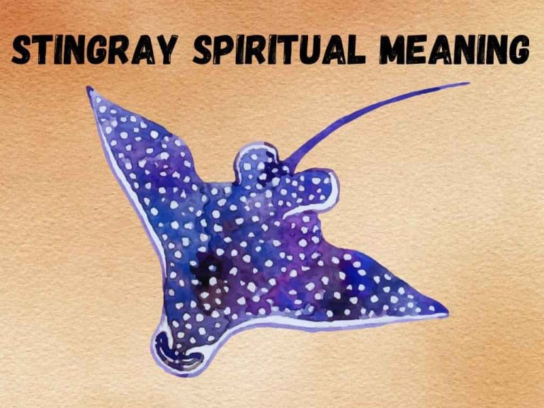 spiritual-meaning-of-stingray-and-symbolism