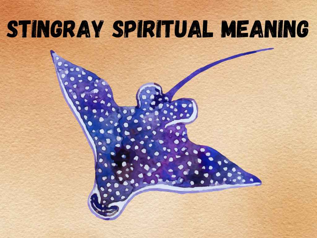 spiritual-meaning-of-stingray-and-symbolism