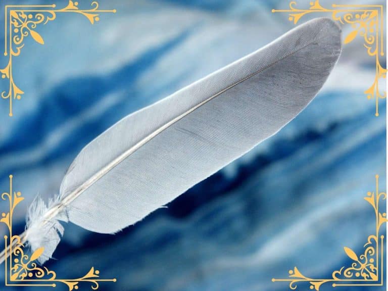 spiritual-meaning-of-white-and-grey-feather