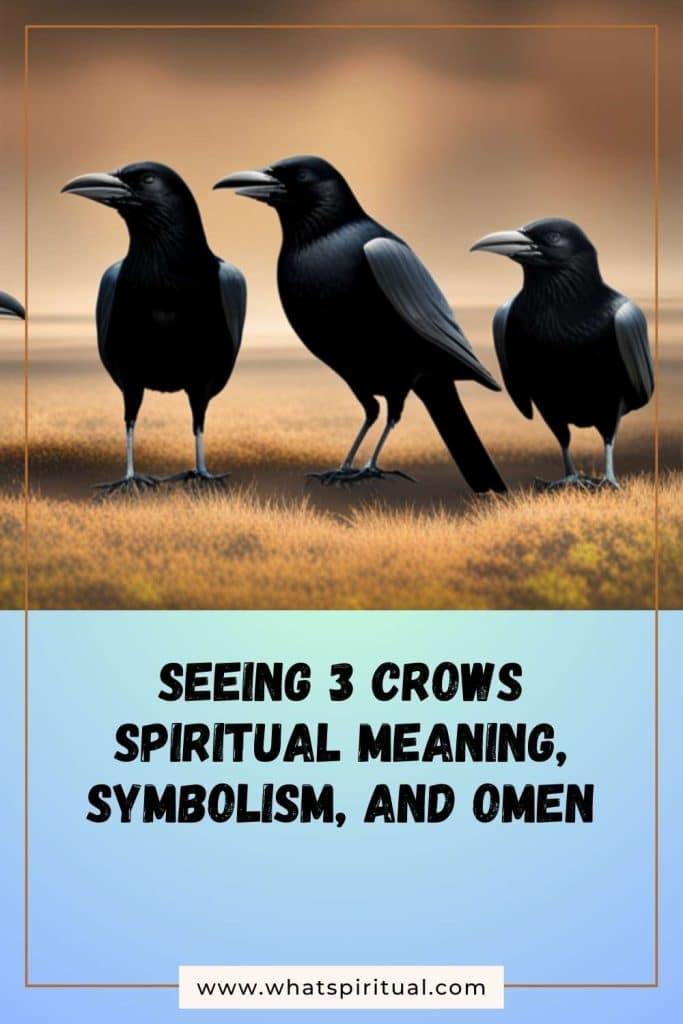 what-is-the-spiritual-meaning-of-3-crows-symbolism-omen