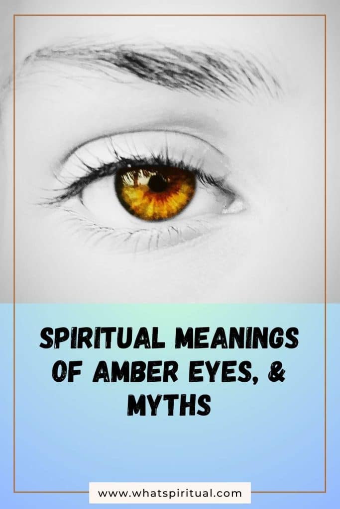 what-is-the-spiritual-meaning-of-amber-eyes-golden-eyes