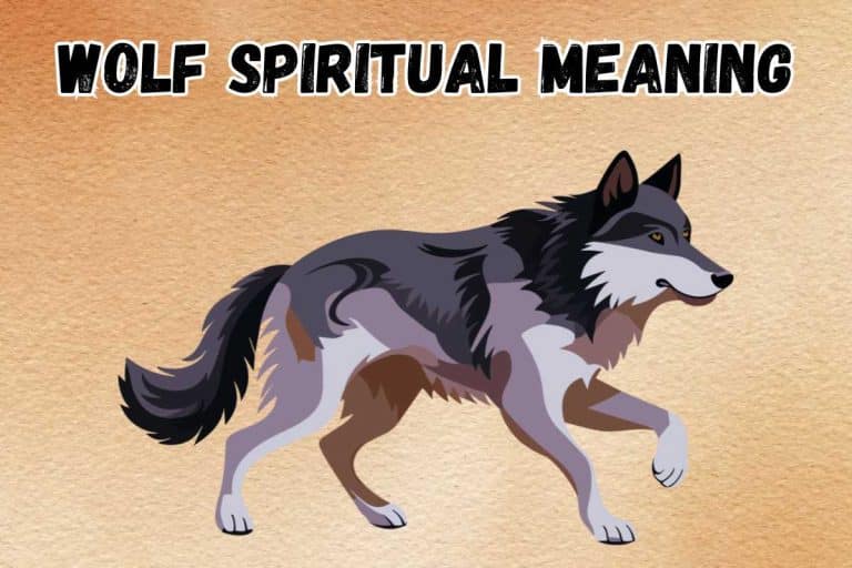 wolf-spiritual-meaning-symbolism
