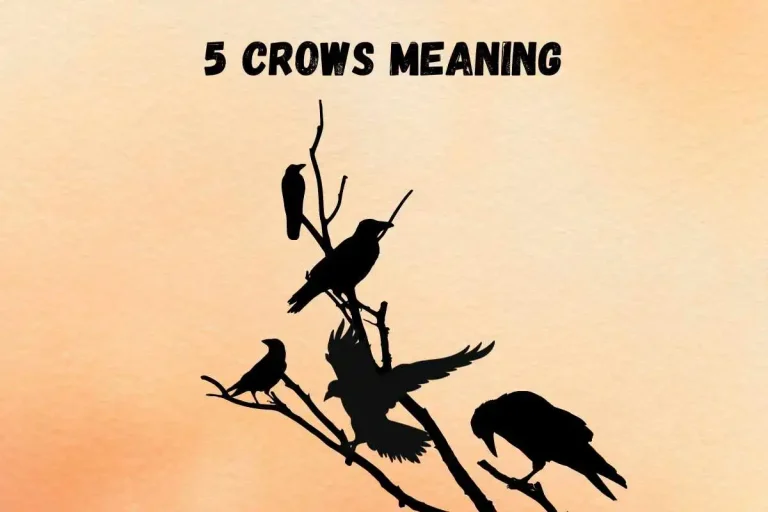seeing-5-crows-spiritual-meaning-and-symbolism