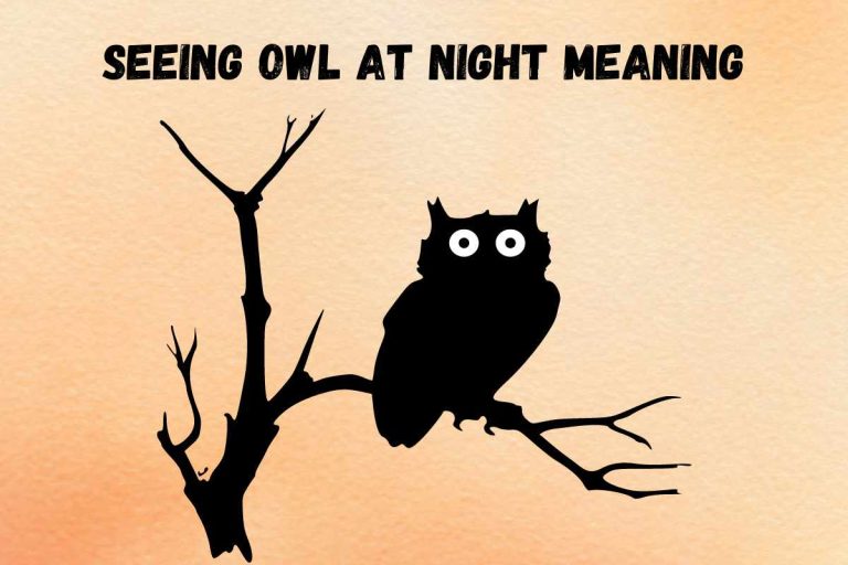 seeing-an-owl-at-night-spiritual-meaning