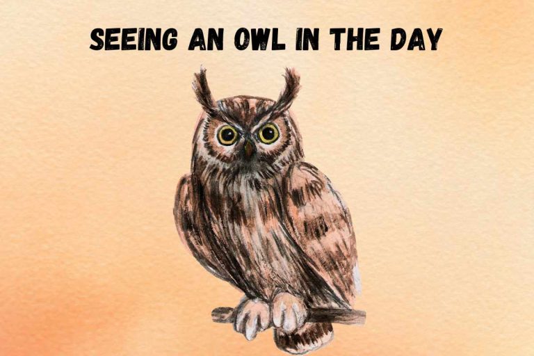 seeing-an-owl-in-the-day-spiritual-meaning
