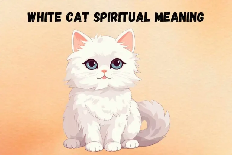seeing-white-cat-spiritual-meaning-symbolism