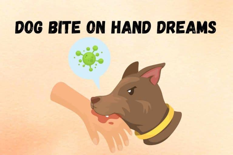 spiritual-meaning-of-dreams-about-dog-bite-on-hand