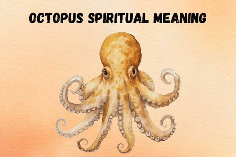 spiritual-meaning-of-octopus-symbolism-totem
