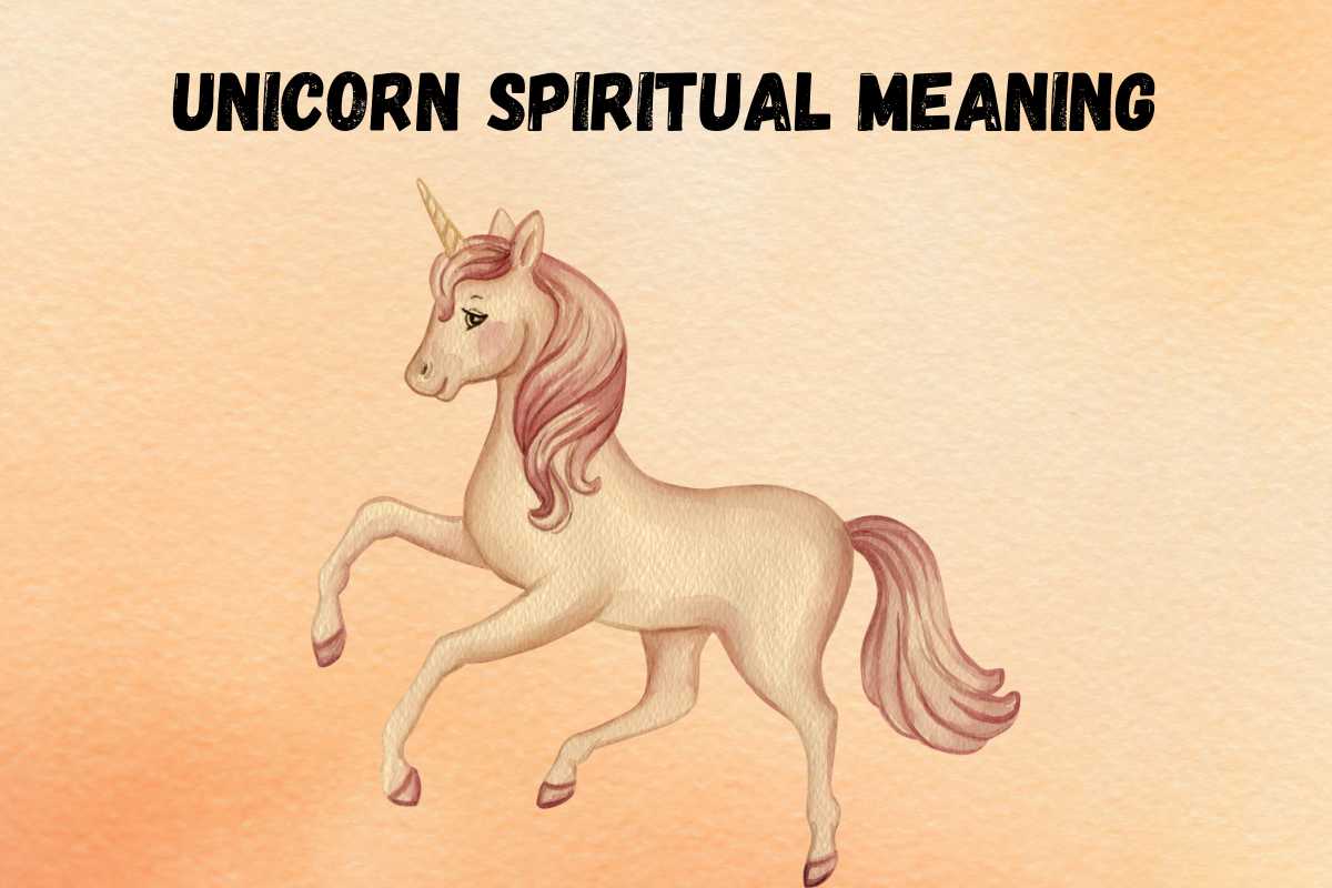 spiritual-meaning-of-unicorn-symbolism-totem