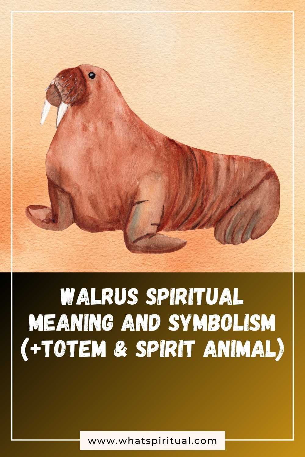 Walrus Spiritual Meaning and Symbolism (+Totem & Spirit Animal) | What