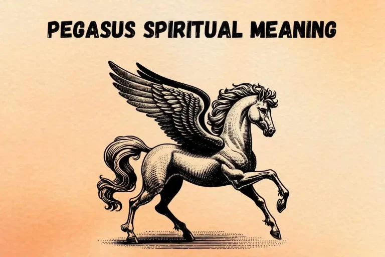 pegasus-spiritual-meaning-symbolism-mythology