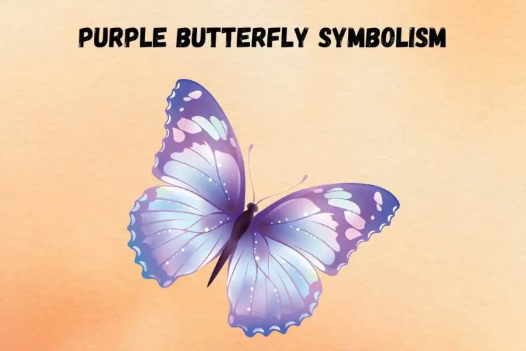 Purple Butterfly Symbolism, Spiritual Meaning & Significance