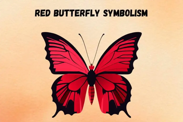 red-butterfly-symbolism-spiritual-meaning-and-symbolism