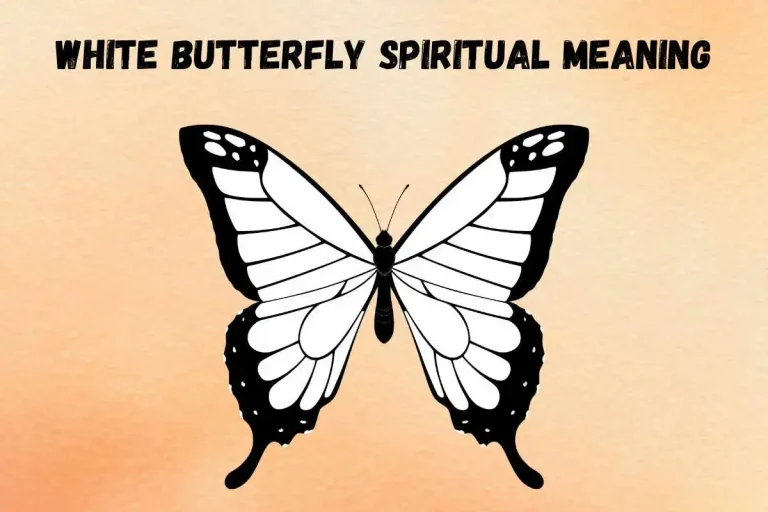 white-butterfly-spiritual-meaning-symbolism-and-significance