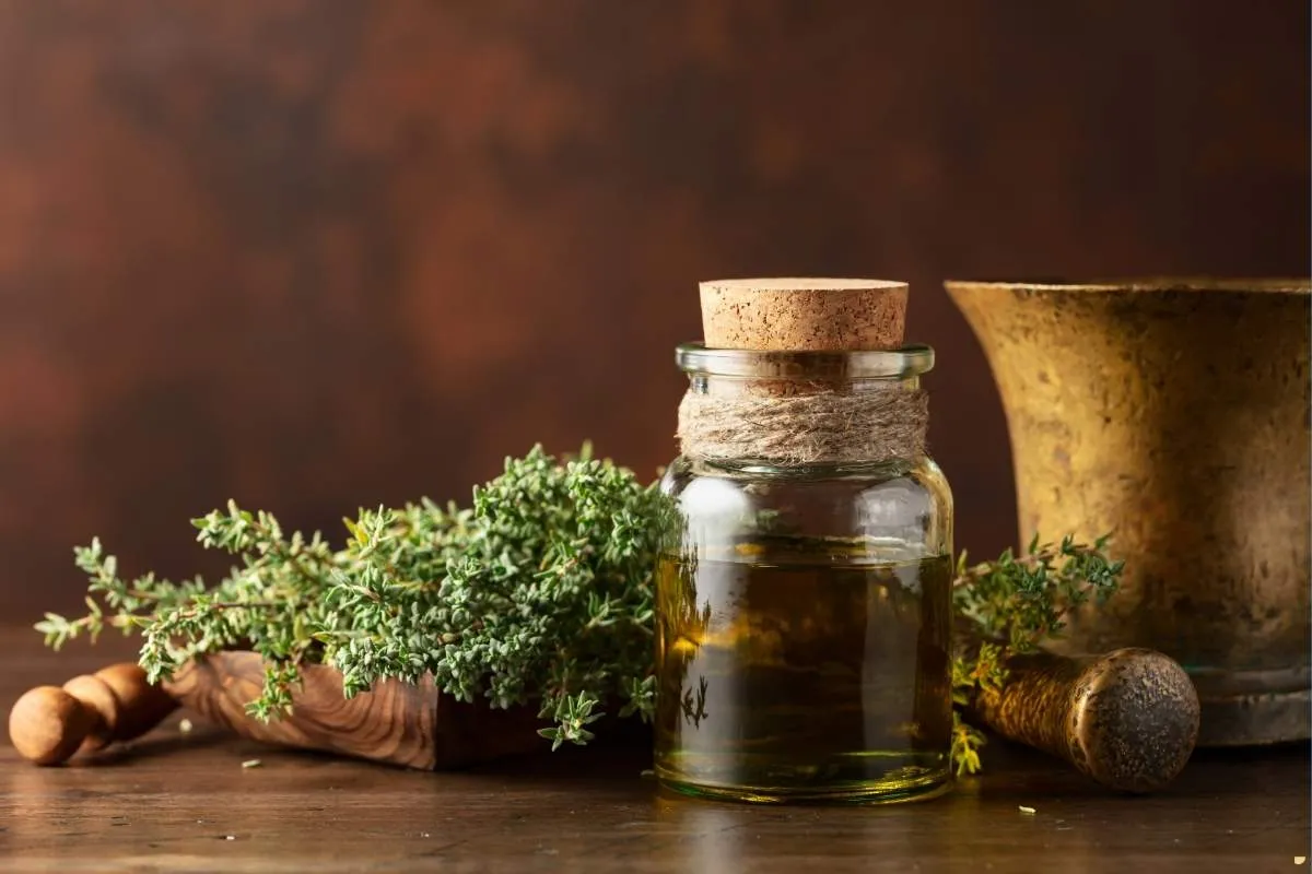 what-is-the-spiritual-meaning-of-thyme
