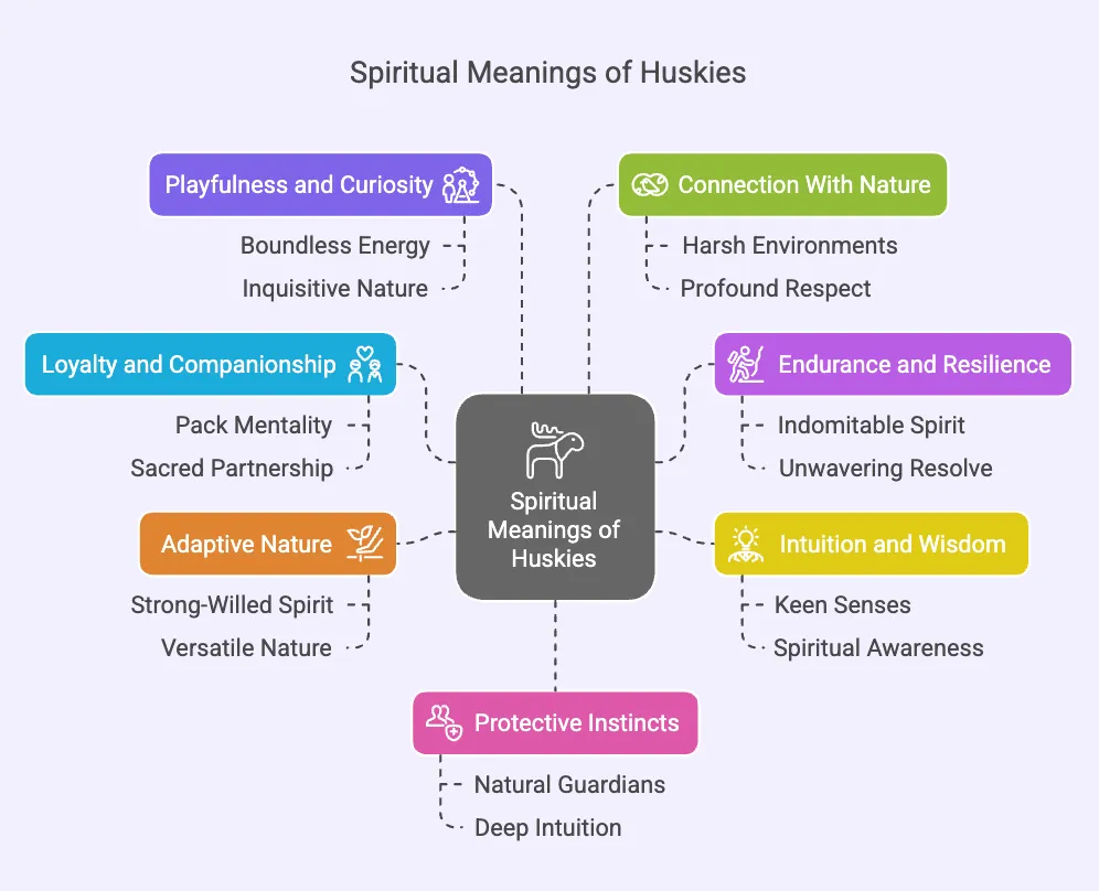 husky-spiritual-meaning-and-symbolism