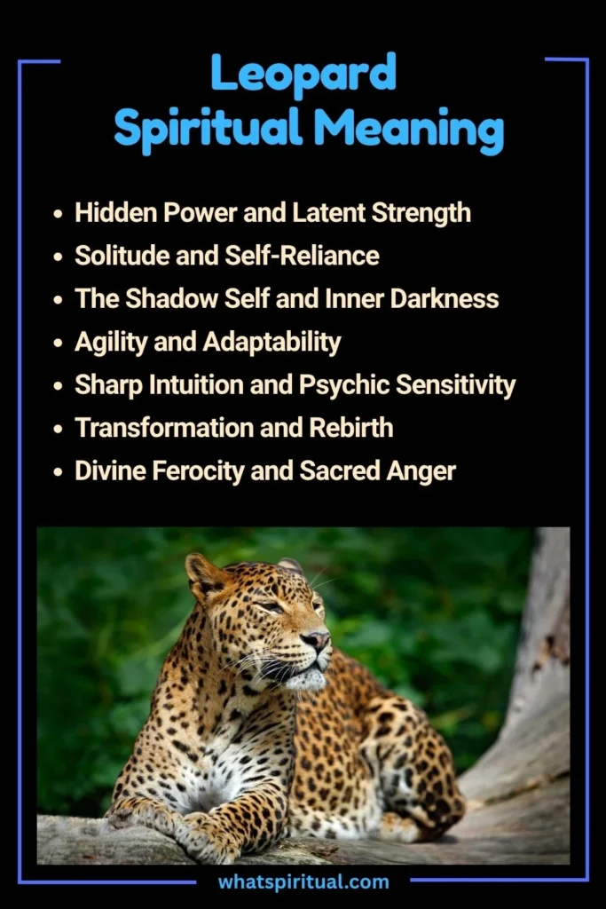 Leopard Spiritual Meaning and Symbolism