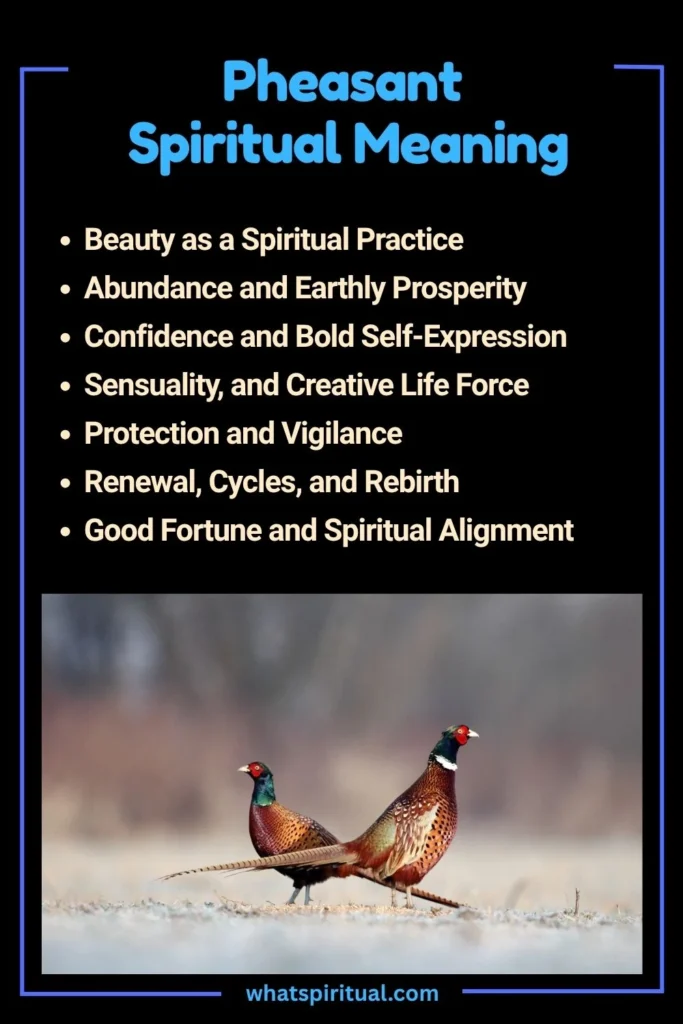 Pheasant Spiritual Meaning and Symbolism