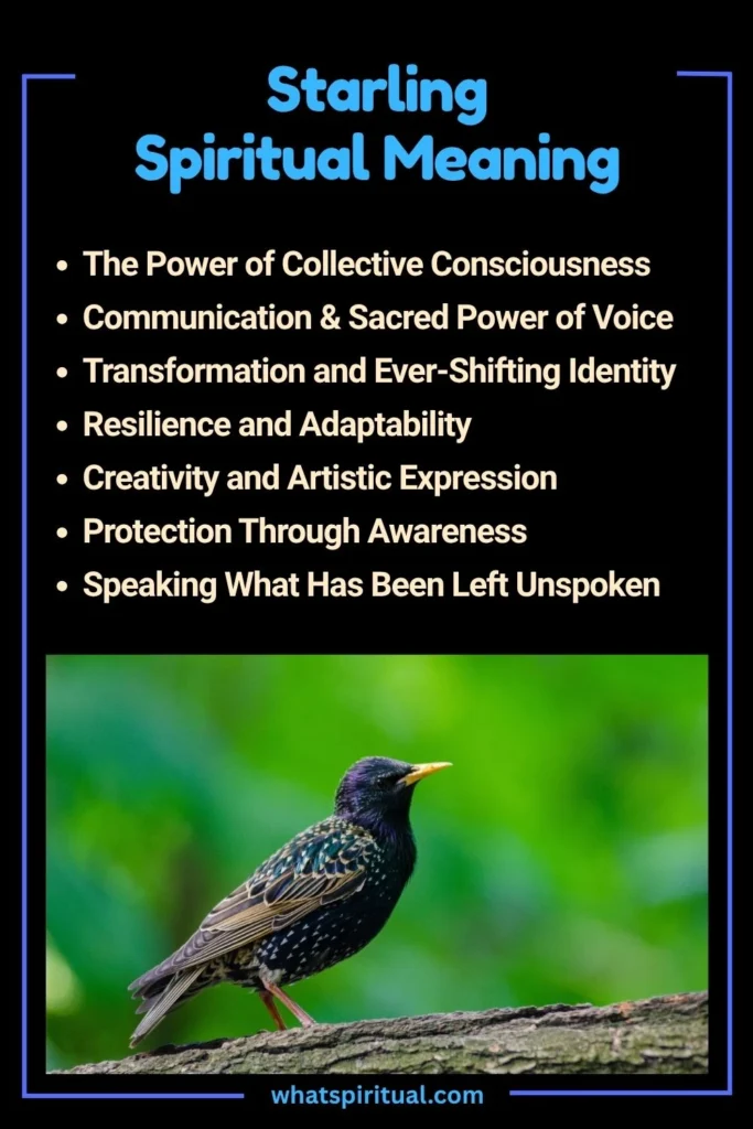 Starling Spiritual Meaning and Symbolism