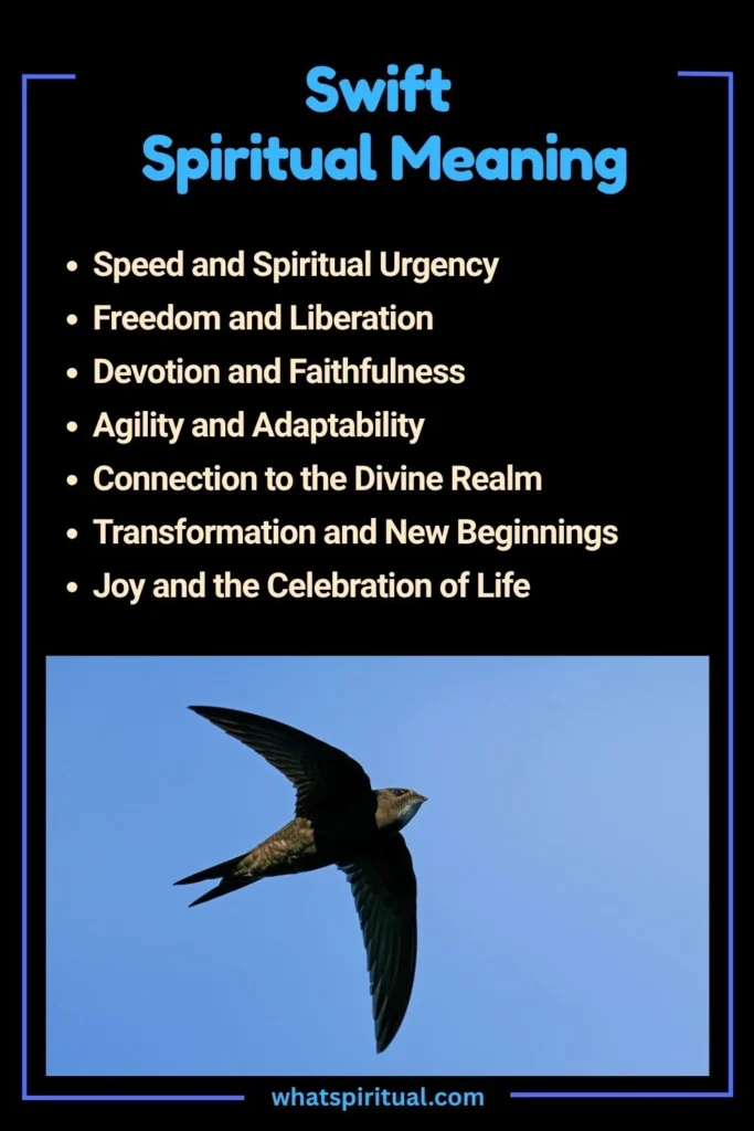 Swift Spiritual Meaning and Symbolism