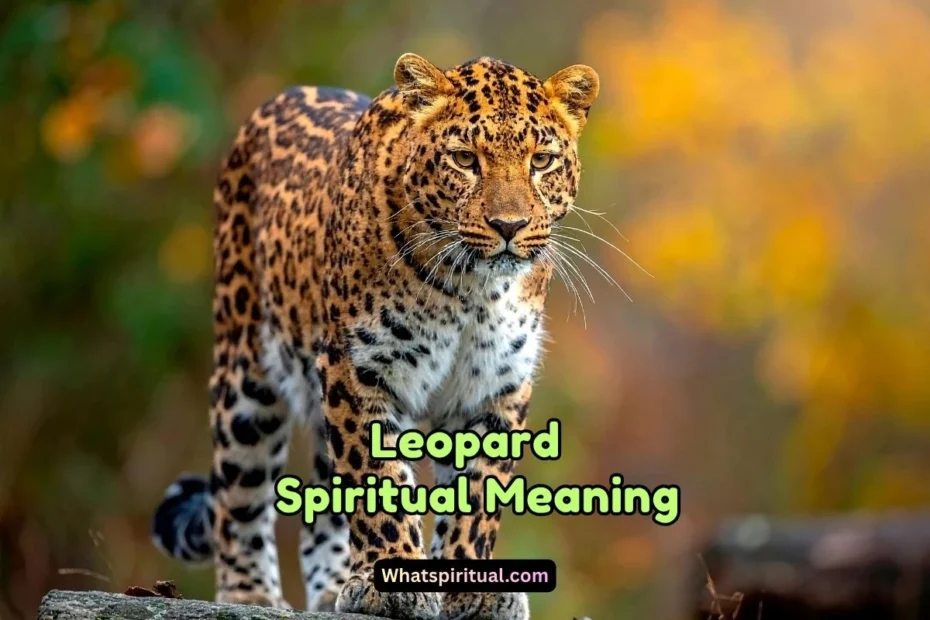 What is the Spiritual Meaning of Leopard