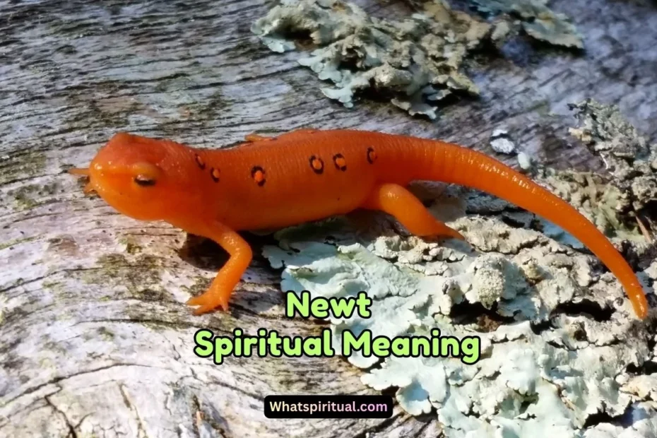 What is the Spiritual Meaning of Newt