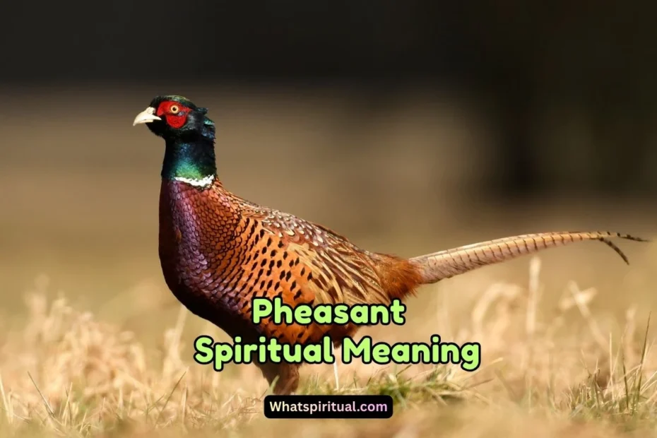 What is the Spiritual Meaning of Pheasant